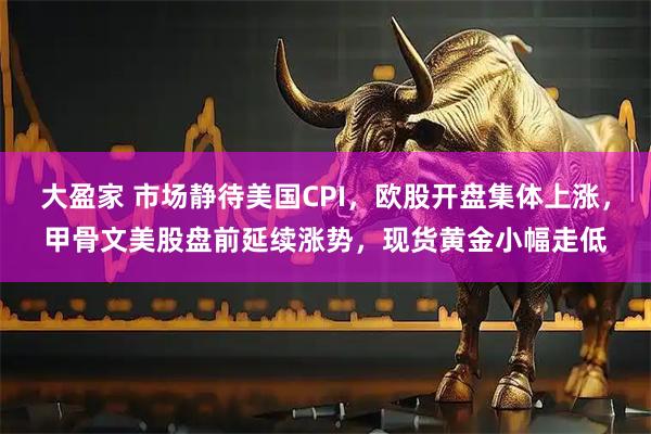 大盈家 市场静待美国CPI，欧股开盘集体上涨，甲骨文美股盘前延续涨势，现货黄金小幅走低
