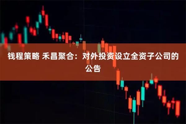 钱程策略 禾昌聚合：对外投资设立全资子公司的公告
