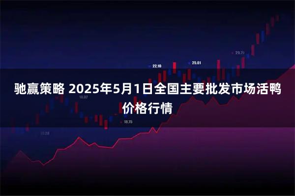 驰赢策略 2025年5月1日全国主要批发市场活鸭价格行情