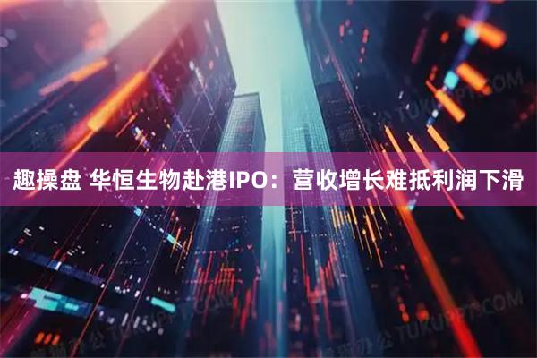 趣操盘 华恒生物赴港IPO：营收增长难抵利润下滑