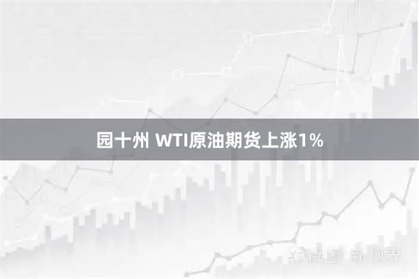 园十州 WTI原油期货上涨1%