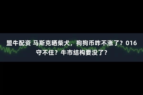 盟牛配资 马斯克晒柴犬，狗狗币咋不涨了？016守不住？牛市结构要没了？