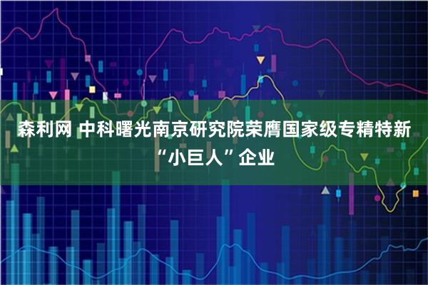 森利网 中科曙光南京研究院荣膺国家级专精特新“小巨人”企业