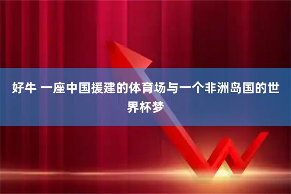 好牛 一座中国援建的体育场与一个非洲岛国的世界杯梦